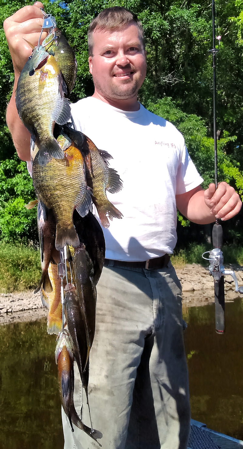 Wolf River bluegills Waupaca Picture Post